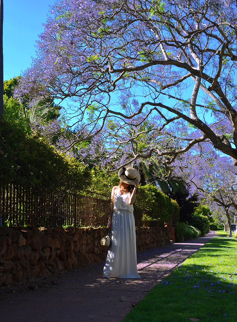 SanDiego-Jacarandas-Spring-Spring2017-JacarandaSeason-SanDiego-SanDiegoStyleBlogger-KarlaVargas-MyStylosophy-WhiteDress-SpringDress