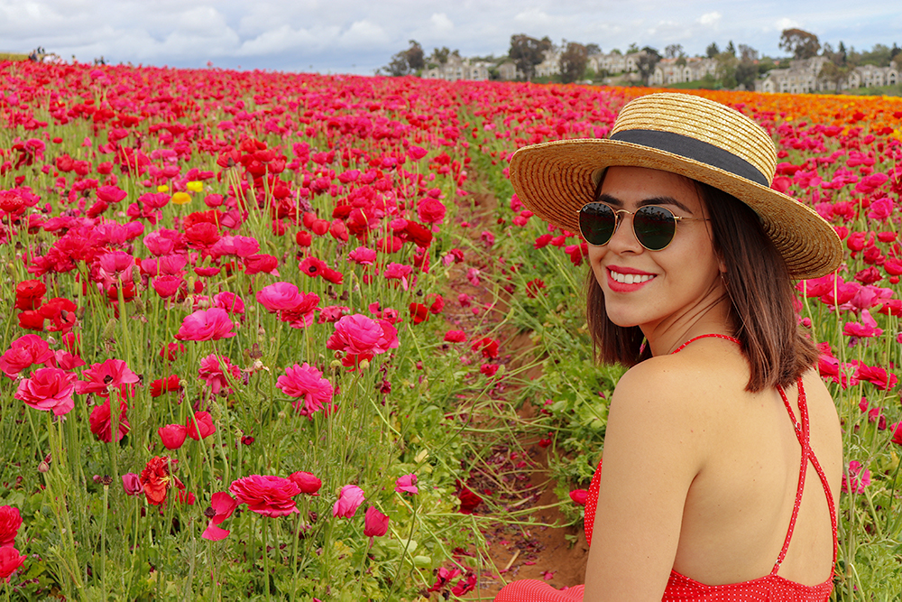 KarlaVargas-SanDiego-FlowerFields-RedDress-SummerDress-SummerStyle-PolkaDot-PolkaDotDress-PolkaDress-RedDress-Flowers-SanDiegoFlowerFields