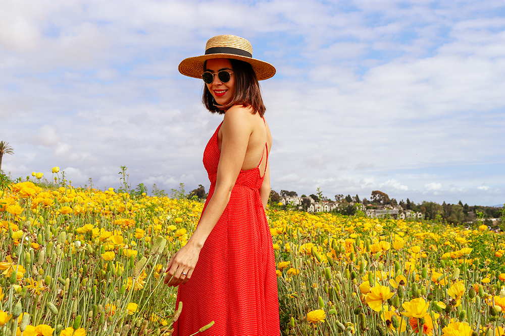 KarlaVargas-SanDiego-FlowerFields-RedDress-SummerDress-SummerStyle-PolkaDot-PolkaDotDress-PolkaDress-RedDress-Flowers-SanDiegoFlowerFields