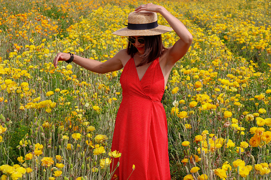 KarlaVargas-SanDiego-FlowerFields-RedDress-SummerDress-SummerStyle-PolkaDot-PolkaDotDress-PolkaDress-RedDress-Flowers-SanDiegoFlowerFields