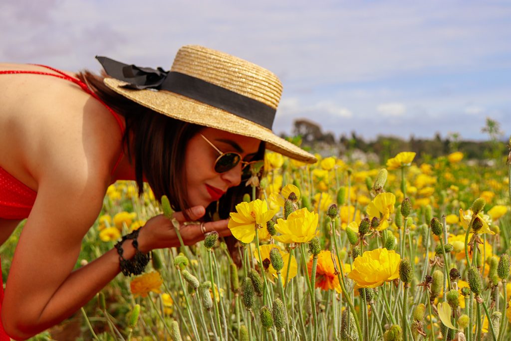 KarlaVargas-SanDiego-FlowerFields-RedDress-SummerDress-SummerStyle-PolkaDot-PolkaDotDress-PolkaDress-RedDress-Flowers-SanDiegoFlowerFields