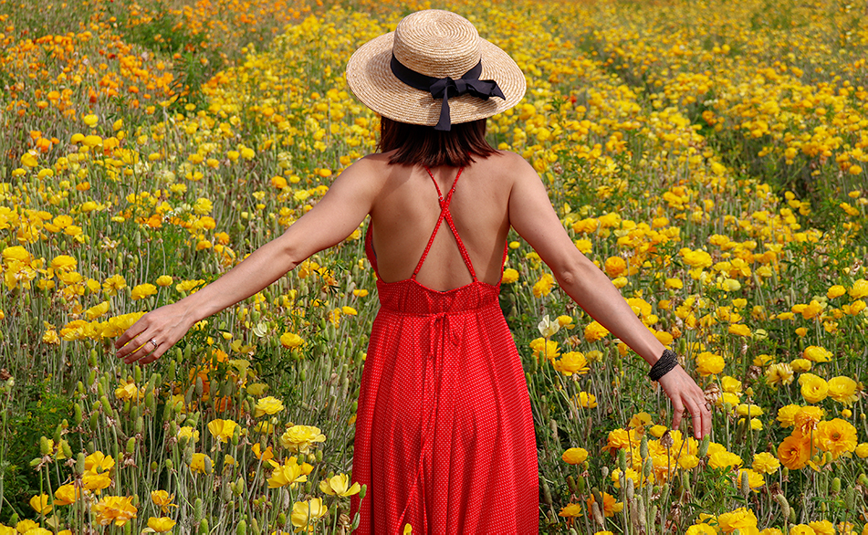 KarlaVargas-SanDiego-FlowerFields-RedDress-SummerDress-SummerStyle-PolkaDot-PolkaDotDress-PolkaDress-RedDress-Flowers-SanDiegoFlowerFields